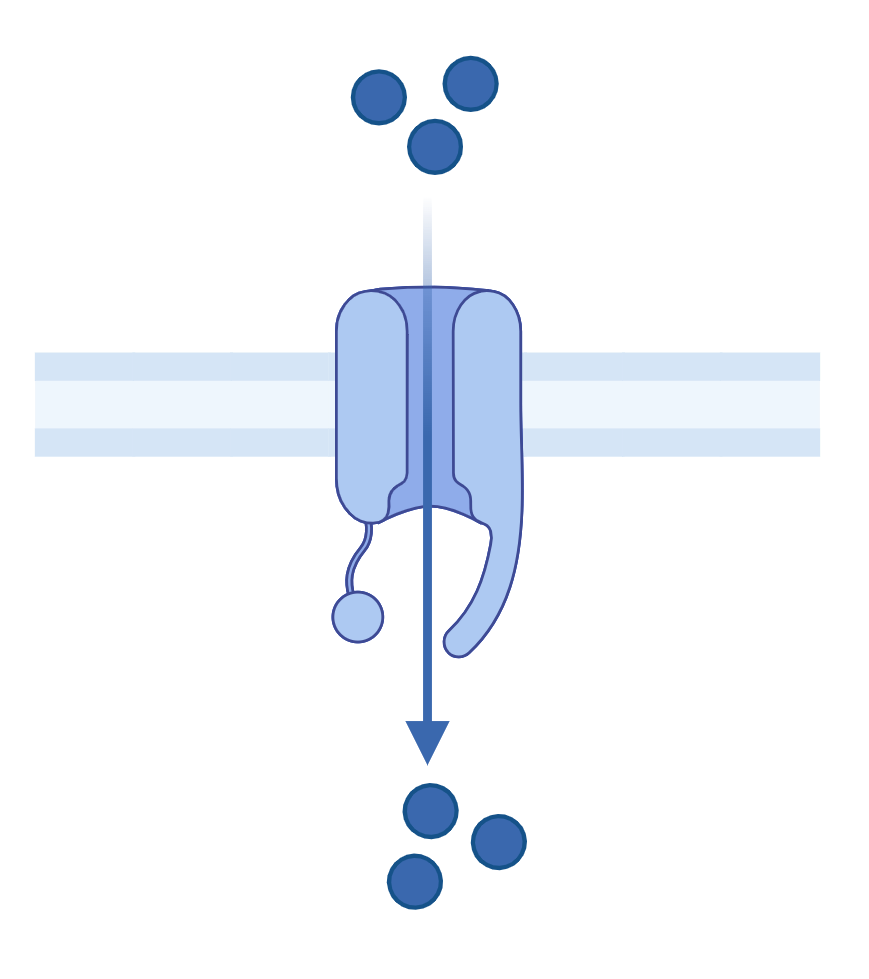 Galvanotaxis